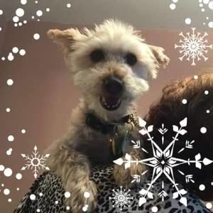 Meet your Posher, Marla